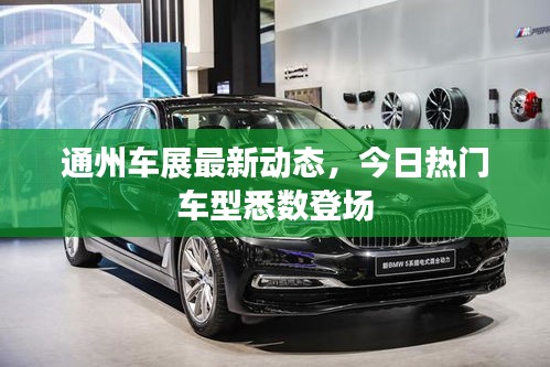 通州车展最新动态，今日热门车型悉数登场