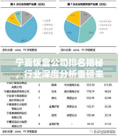 宁夏饭盒公司排名揭秘，行业深度分析重磅来袭！
