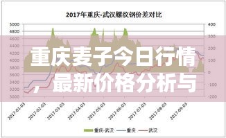 重庆麦子今日行情，最新价格分析与趋势预测