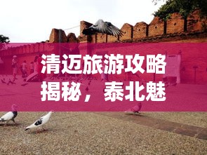 清迈旅游攻略揭秘，泰北魅力之都的无限魅力探索之旅