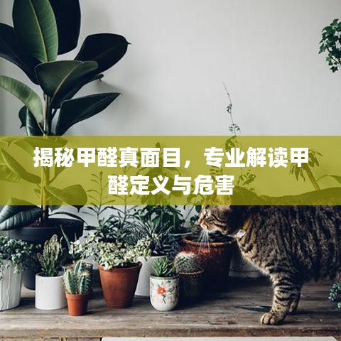 揭秘甲醛真面目，专业解读甲醛定义与危害