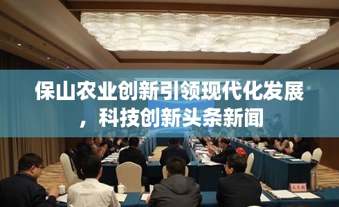 保山农业创新引领现代化发展，科技创新头条新闻