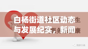 白杨街道社区动态与发展纪实，新闻头条大揭秘