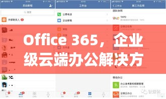 Office 365，企业级云端办公解决方案，助力企业高效协作