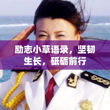 励志小草语录，坚韧生长，砥砺前行