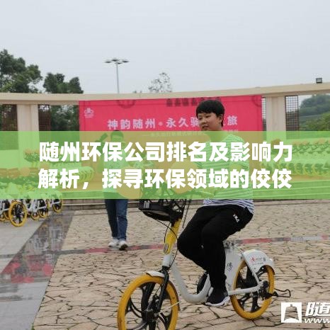 随州环保公司排名及影响力解析，探寻环保领域的佼佼者