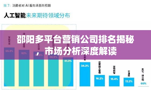 邵阳多平台营销公司排名揭秘，市场分析深度解读