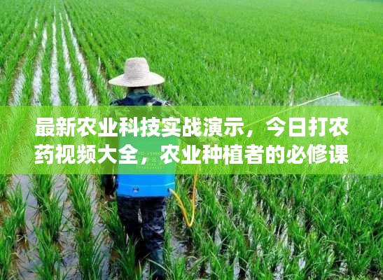 最新农业科技实战演示，今日打农药视频大全，农业种植者的必修课