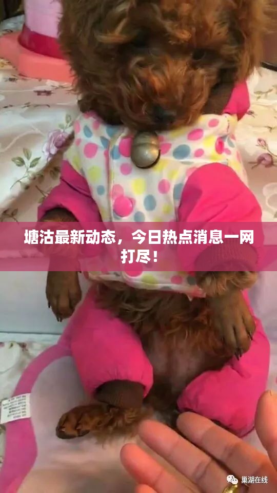 塘沽最新动态，今日热点消息一网打尽！