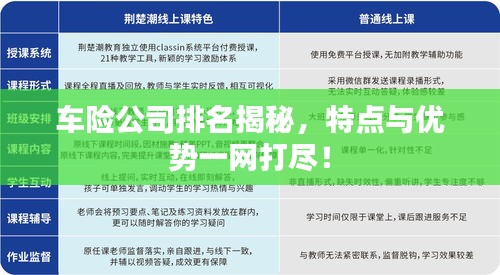 车险公司排名揭秘，特点与优势一网打尽！