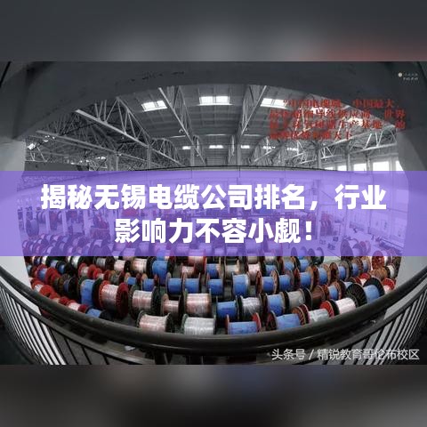 揭秘无锡电缆公司排名，行业影响力不容小觑！