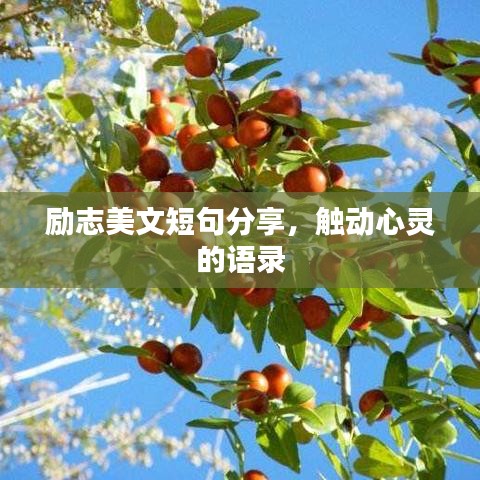 励志美文短句分享，触动心灵的语录