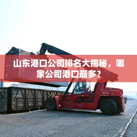 山东港口公司排名大揭秘，哪家公司港口最多？