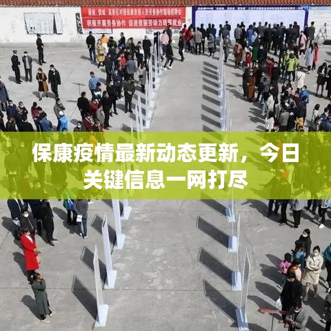 保康疫情最新动态更新，今日关键信息一网打尽