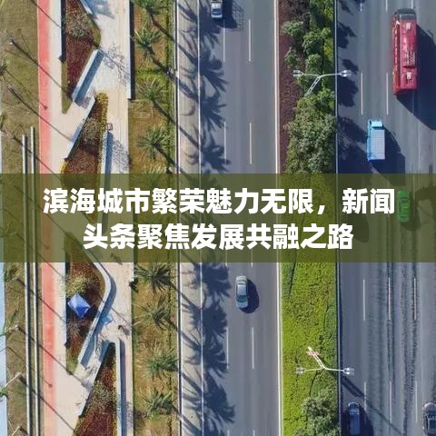 滨海城市繁荣魅力无限，新闻头条聚焦发展共融之路