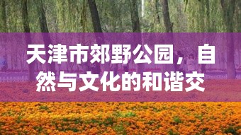 天津市郊野公园，自然与文化的和谐交融之旅