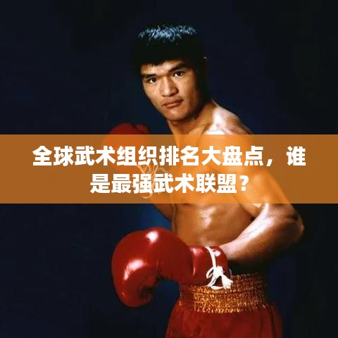 全球武术组织排名大盘点，谁是最强武术联盟？