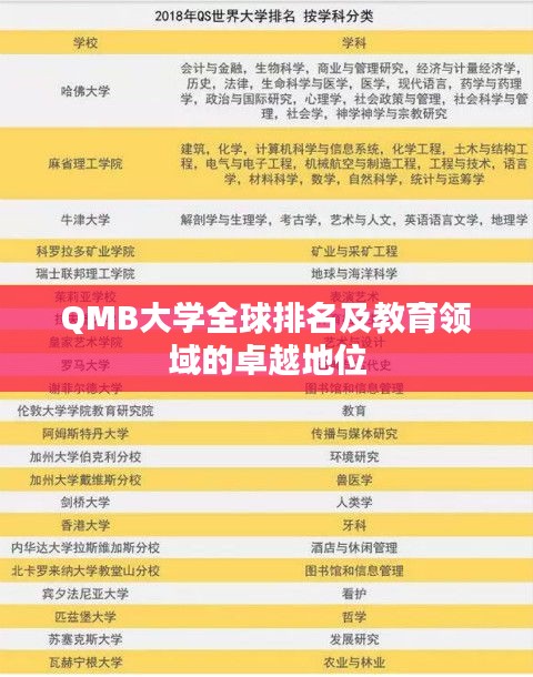 QMB大学全球排名及教育领域的卓越地位