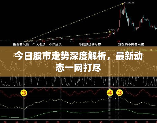 今日股市走势深度解析，最新动态一网打尽