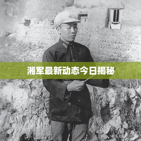 神清气朗