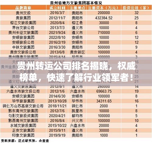 贵州转运公司排名揭晓，权威榜单，快速了解行业领军者！