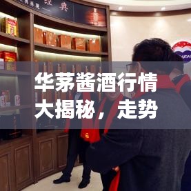 华茅酱酒行情大揭秘，走势分析与市场洞察