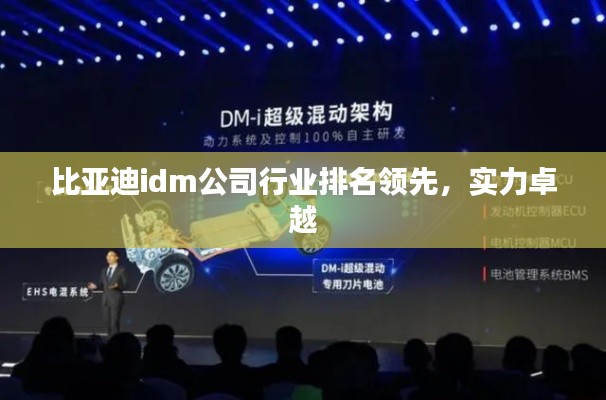 比亚迪idm公司行业排名领先，实力卓越