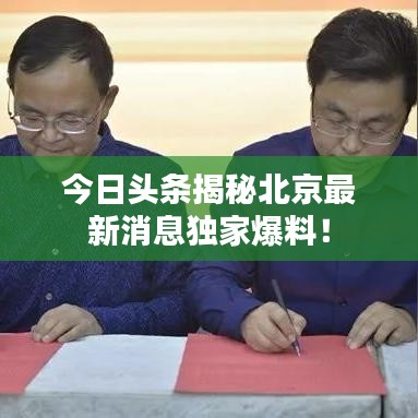 林下风范 第2页