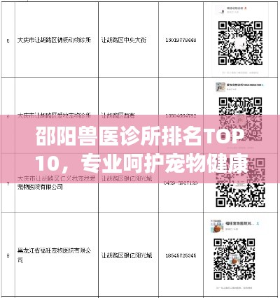 邵阳兽医诊所排名TOP10，专业呵护宠物健康之选