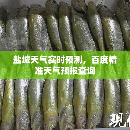 盐城天气实时预测，百度精准天气预报查询