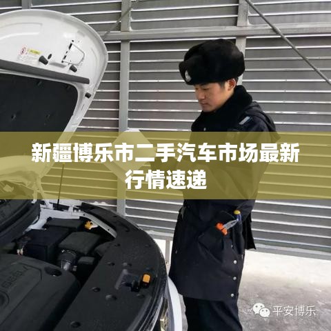 新疆博乐市二手汽车市场最新行情速递