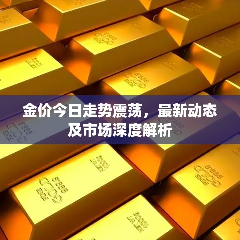 金价今日走势震荡，最新动态及市场深度解析