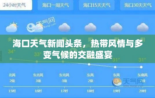 海口天气新闻头条，热带风情与多变气候的交融盛宴