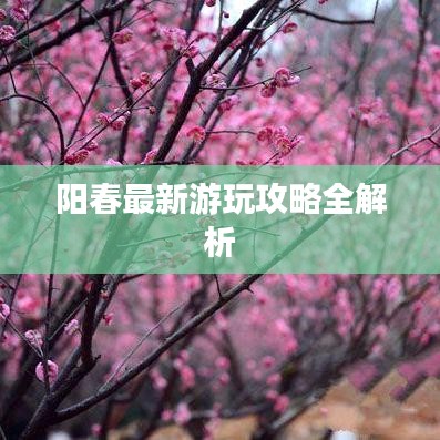 阳春最新游玩攻略全解析