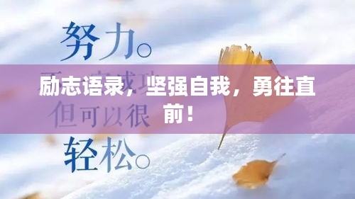 励志语录，坚强自我，勇往直前！