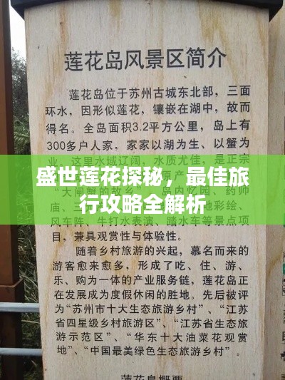 盛世莲花探秘，最佳旅行攻略全解析