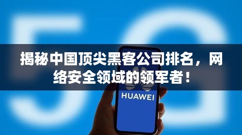 揭秘中国顶尖黑客公司排名，网络安全领域的领军者！