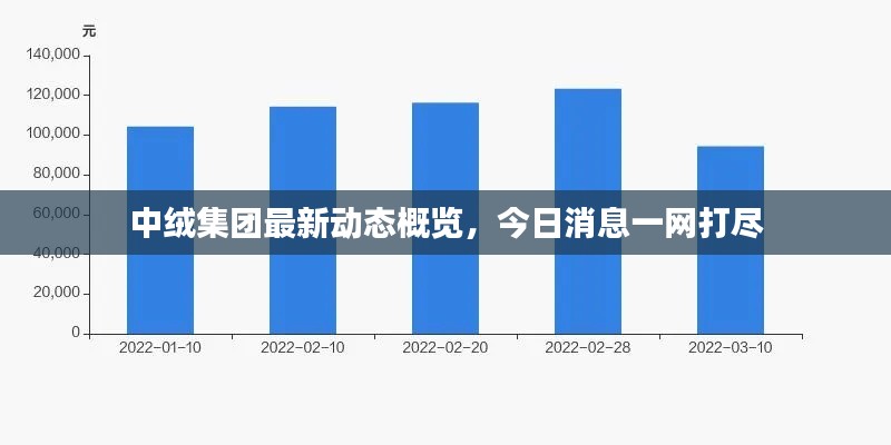 中绒集团最新动态概览，今日消息一网打尽