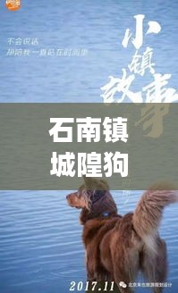 石南镇城隍狗咬人案最新进展曝光