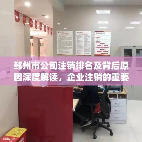 邳州市公司注销排名及背后原因深度解读，企业注销的重要性与影响分析