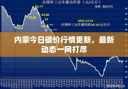 内蒙今日碳价行情更新，最新动态一网打尽