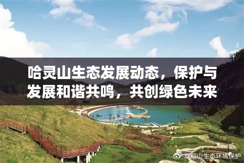 哈灵山生态发展动态，保护与发展和谐共鸣，共创绿色未来新闻头条