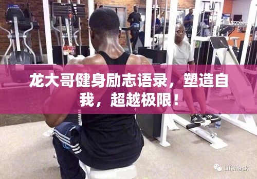 龙大哥健身励志语录，塑造自我，超越极限！