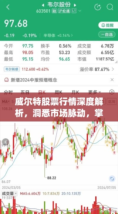 威尔特股票行情深度解析，洞悉市场脉动，掌握投资先机