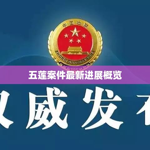 五莲案件最新进展概览
