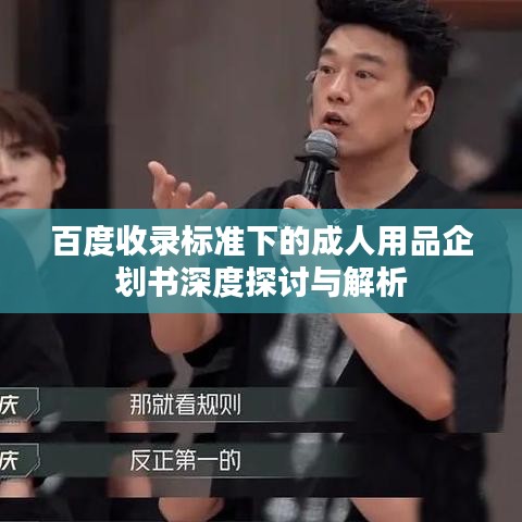 百度收录标准下的成人用品企划书深度探讨与解析