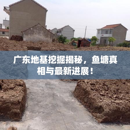 广东地基挖掘揭秘，鱼塘真相与最新进展！