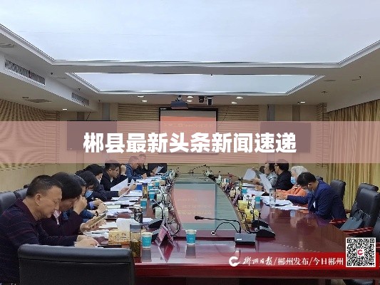 郴县最新头条新闻速递
