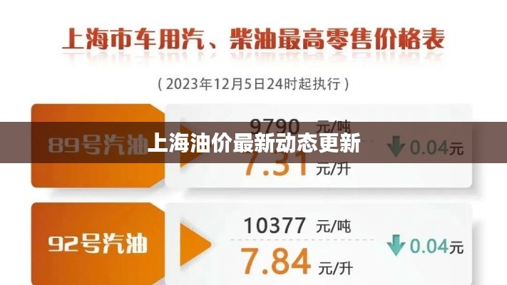 上海油价最新动态更新