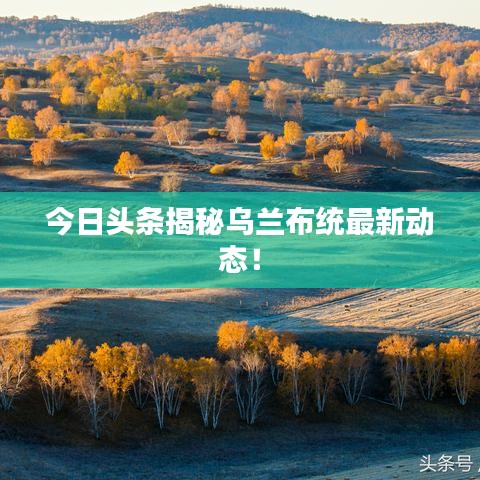 今日头条揭秘乌兰布统最新动态！